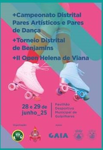 Cartaz "II Open Distrital Helena Viana"