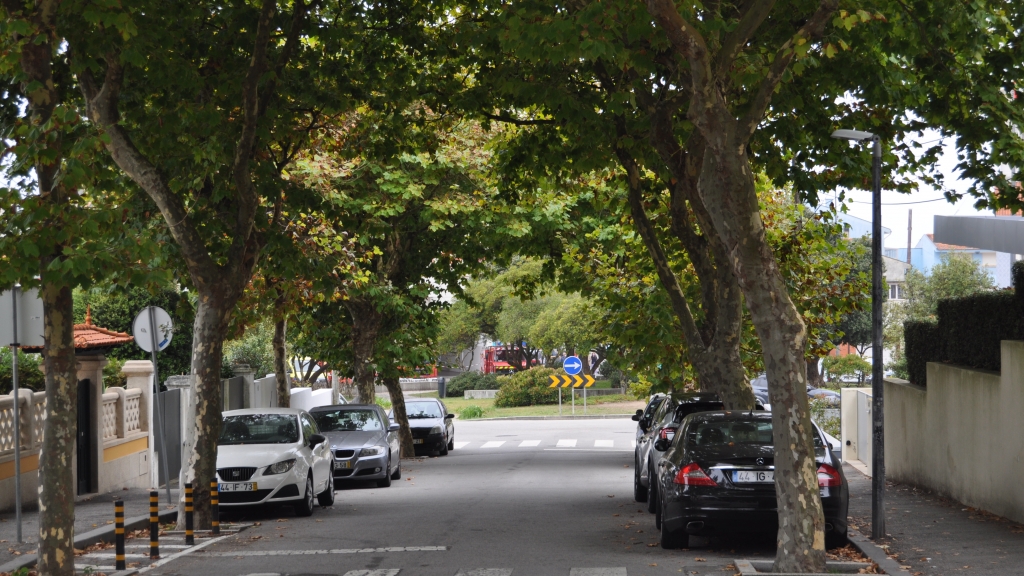Rua do Bagaço, quase centenária