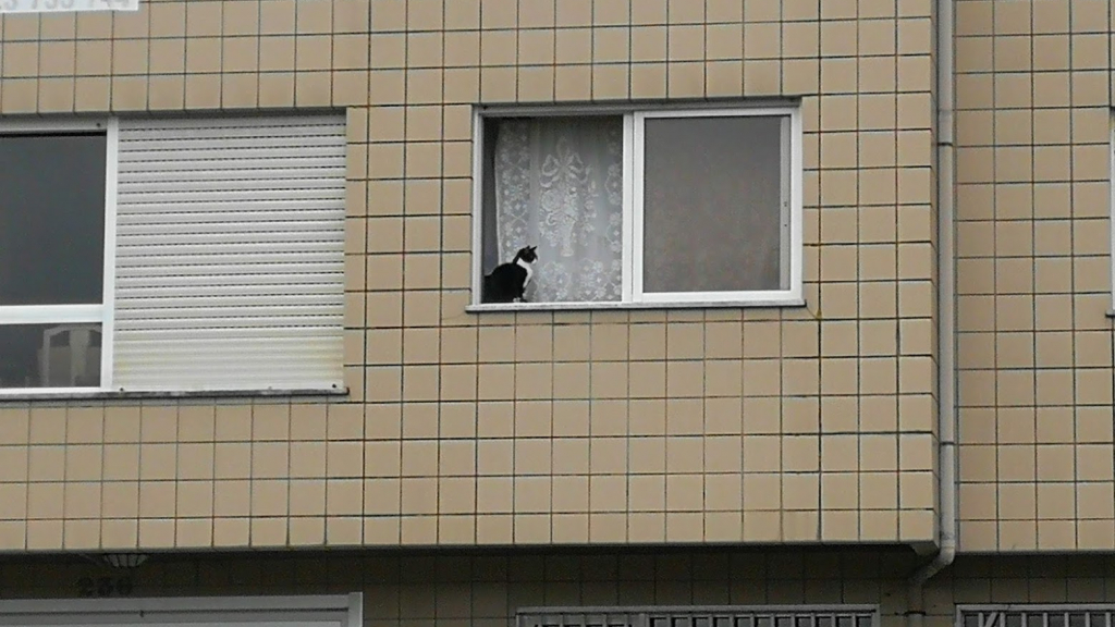 123