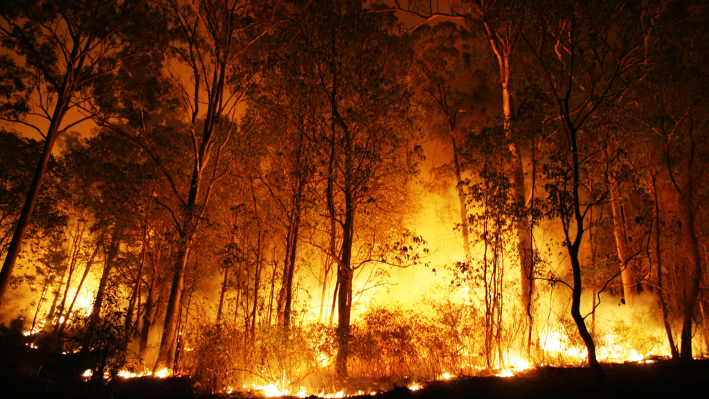 incêndio