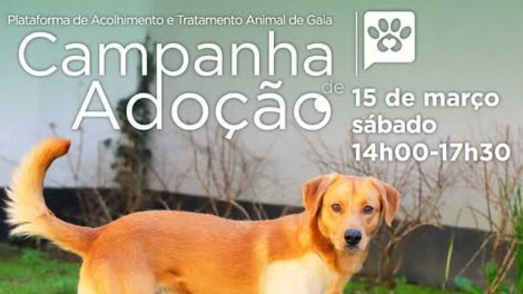 Cartaz
