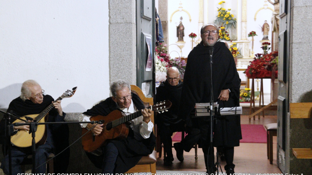 FESTA EM GAIA