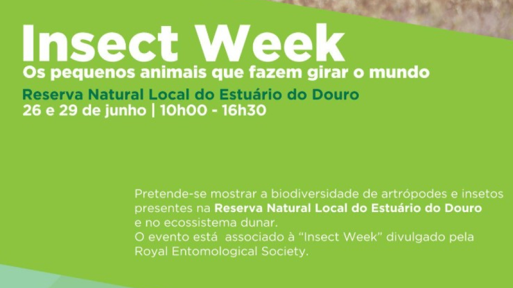 Cartaz "Insect Week"