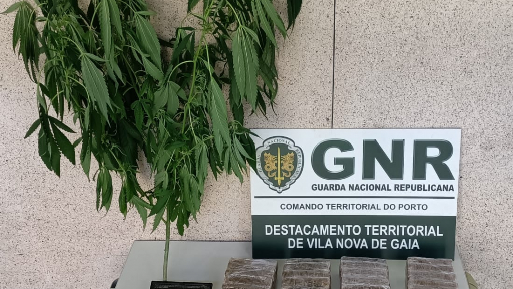 Apreensão de droga