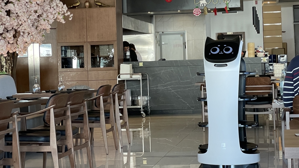 ROBOT