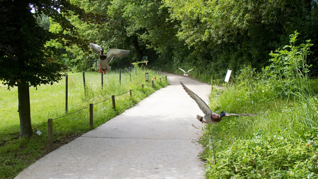 Parque Biológico
