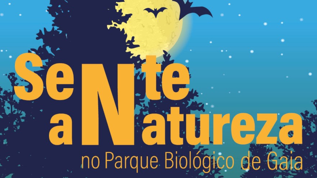 Cartaz do evento